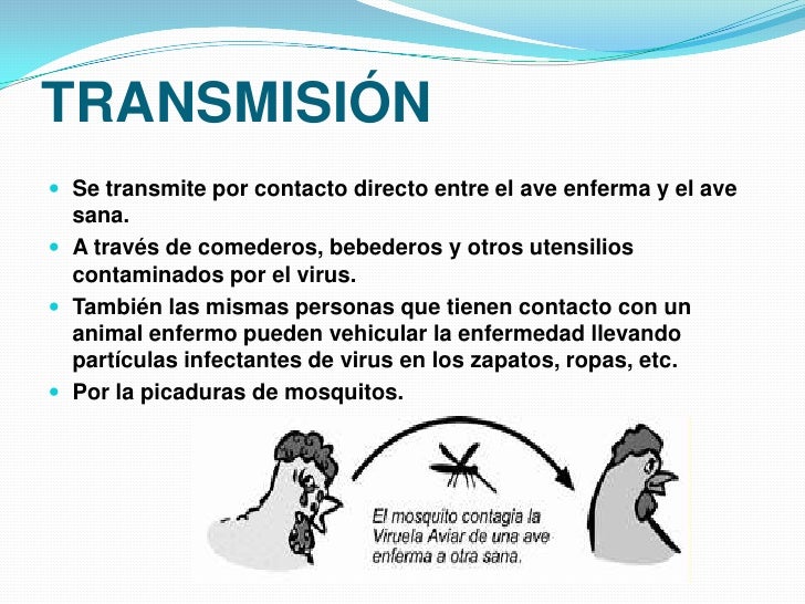 viruela aviar
