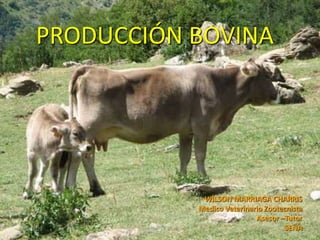 PRODUCCIÓN BOVINA
WILSON MARRIAGA CHARRIS
Medico Veterinario Zootecnista
Asesor –Tutor
SENA
5/02/2023
 