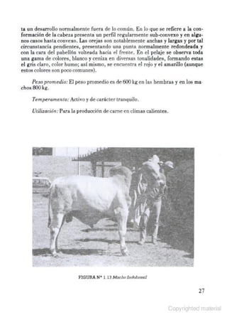Producción bovina Álvaro Castro Costarrica.pdf