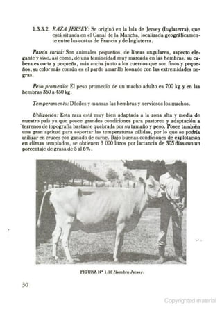 Producción bovina Álvaro Castro Costarrica.pdf