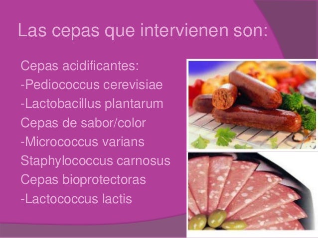 La participación de los en la producción de
