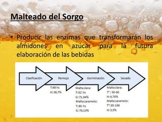 Malteado del Sorgo
• Producir las enzimas que transformarán los
almidones en azúcar para la futura
elaboración de las bebi...