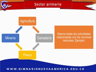 Abarca todas las actividades
relacionadas con los recursos
naturales, Ejemplo:
Agricultura
Ganadería
Pesca
Minería
 