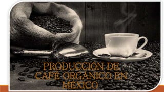 PRODUCCIÓN DE 
CAFÉ ORGÁNICO EN 
MÉXICO. 
 