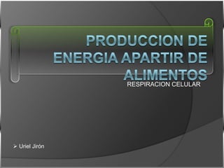 PRODUCCION DE ENERGIA APARTIR DE ALIMENTOS RESPIRACION CELULAR ,[object Object],[object Object]