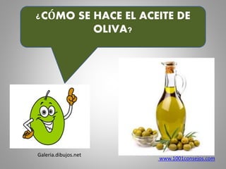 ¿CÓMO SE HACE EL ACEITE DE
OLIVA?
Galeria.dibujos.net
www.1001consejos.com
 