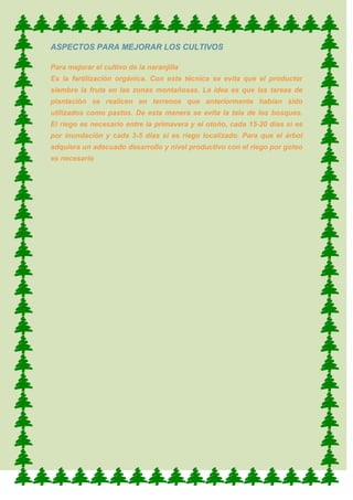 ProduccióN De La Naranjilla