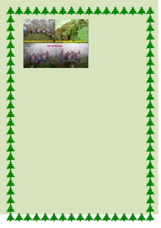 ProduccióN De La Naranjilla