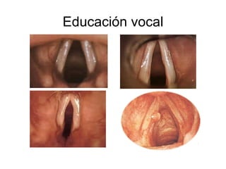 Educación vocal
