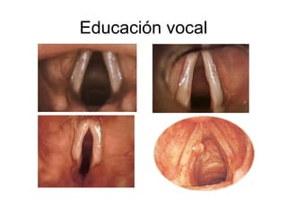Educación vocal 