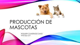 PRODUCCIÓN DE
MASCOTAS
ROSMERY CUADRADO CANO
MVZ Esp LCV
 