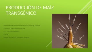 PRODUCCIÓN DE MAÍZ
TRANSGÉNICO
Benemérita Universidad Autónoma de Puebla
Facultad de Administración
Lic. En Gastronomía
DHTIC
María de La Paz Moreno Álvarez
 