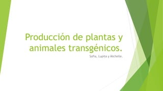 Producción de plantas y
animales transgénicos.
Sofia, Lupita y Michelle.
 