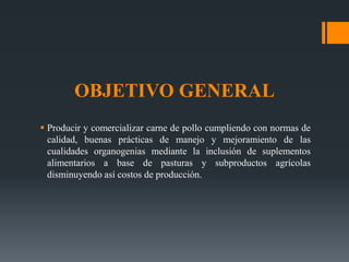 OBJETIVO GENERAL
 Producir y comercializar carne de pollo cumpliendo con normas de
calidad, buenas prácticas de manejo y mejoramiento de las
cualidades organogenias mediante la inclusión de suplementos
alimentarios a base de pasturas y subproductos agrícolas
disminuyendo así costos de producción.
 