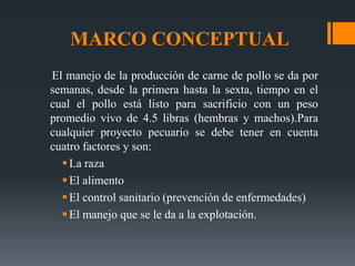MARCO CONCEPTUAL
El manejo de la producción de carne de pollo se da por
semanas, desde la primera hasta la sexta, tiempo en el
cual el pollo está listo para sacrificio con un peso
promedio vivo de 4.5 libras (hembras y machos).Para
cualquier proyecto pecuario se debe tener en cuenta
cuatro factores y son:
La raza
El alimento
El control sanitario (prevención de enfermedades)
El manejo que se le da a la explotación.
 