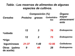 Tabla : Las reservas de alimentos de algunas
especies de cultivos.
Composición (%) Órgano
mayor
almacenami
ento
Cereales Proteína grasas Carbohidra-
tos
cebada
12 3 76 Endospermo
trigo
12 2 75 Endospermo
leguminosas 21-37 1-48 12-56 Cotiledones
Otras (palma
de aceite)
9 49 28 Endospermo
 