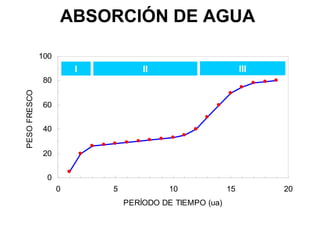 ABSORCIÓN DE AGUA
0
20
40
60
80
100
0 5 10 15 20
PERÍODO DE TIEMPO (ua)
PESOFRESCO.
I II III
 