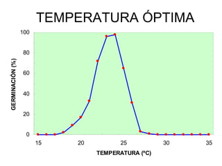 TEMPERATURA ÓPTIMA
0
20
40
60
80
100
15 20 25 30 35
TEMPERATURA (ºC)
GERMINACIÓN(%).
 