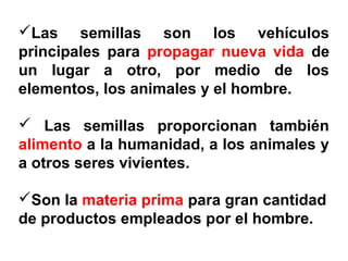 Las semillas son los vehículos
principales para propagar nueva vida de
un lugar a otro, por medio de los
elementos, los animales y el hombre.
 Las semillas proporcionan también
alimento a la humanidad, a los animales y
a otros seres vivientes.
Son la materia prima para gran cantidad
de productos empleados por el hombre.
 