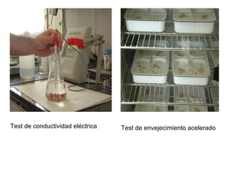 Test de conductividad eléctrica Test de envejecimiento acelerado
 