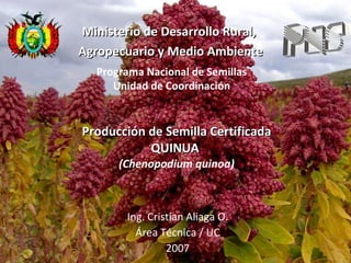 Producción_de _semilla_certificada_de_quinua_PNS_R.M.