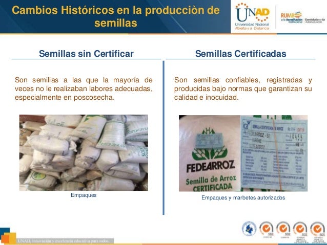 Producción de semillas bajo la resolución ica 3168 de 2105