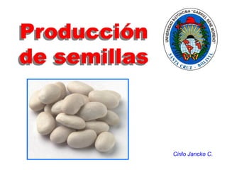 Producción
de semillas
Cirilo Jancko C.
 
