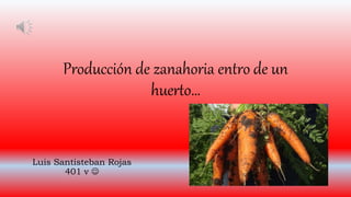 Producción de zanahoria entro de un
huerto…
Luis Santisteban Rojas
401 v 
 