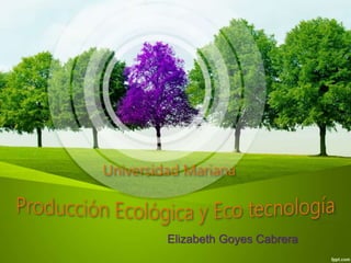 Universidad Mariana 
Elizabeth Goyes Cabrera 
 