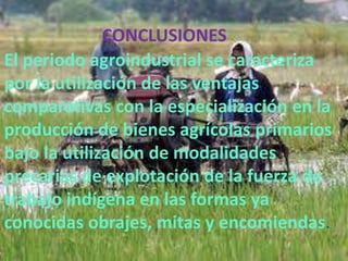 CONCLUSIONES
El periodo agroindustrial se caracteriza
por la utilización de las ventajas
comparativas con la especialización en la
producción de bienes agrícolas primarios
bajo la utilización de modalidades
precarias de explotación de la fuerza de
trabajo indígena en las formas ya
conocidas obrajes, mitas y encomiendas.
 