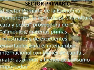 SECTOR PRIMARIO
El Sector Primario de la Economía
“comprende, la agricultura, silvicultura,
caza y pesca” proveedora de
“alimentos, materias primas
industriales y de excedentes
exportables para el intercambio
internacional con bienes de capital,
materias primas y bienes de consumo
importados” .
 