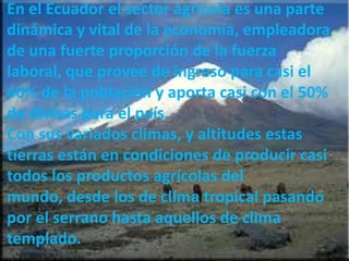 En el Ecuador el sector agrícola es una parte
dinámica y vital de la economía, empleadora
de una fuerte proporción de la fuerza
laboral, que provee de ingreso para casi el
40% de la población y aporta casi con el 50%
de divisas para el país.
Con sus variados climas, y altitudes estas
tierras están en condiciones de producir casi
todos los productos agrícolas del
mundo, desde los de clima tropical pasando
por el serrano hasta aquellos de clima
templado.
 