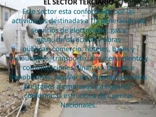 EL SECTOR TERCIARIO
     Este sector esta conformado por las
 actividades destinadas a “la generación de
        servicios de electricidad, gas y
          agua, construcción y obras
     públicas, comercio, hoteles, bares y
restaurantes, transporte, almacenamiento y
     comunicaciones, finanzas, bancos e
inmobiliarias, alquiler de vivienda, servicios
     prestados a empresas y a hogares”
     conforme la estructura de Cuentas
                  Nacionales.
 