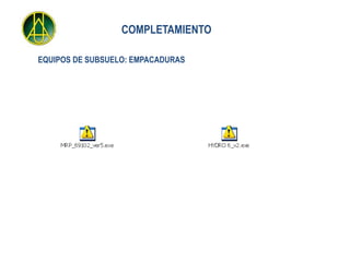 COMPLETAMIENTO

EQUIPOS DE SUBSUELO: EMPACADURAS
 