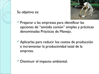 Su objetivo es:
 Preparar a las empresas para identificar las
opciones de “sentido común” simples y prácticas
denominadas Prácticas de Manejo.
 Aplicarlas para reducir los costos de producción
e incrementar la productividad total de la
empresa.
 Disminuir el impacto ambiental.
 