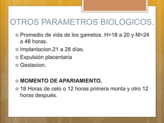 OTROS PARAMETROS BIOLOGICOS.
 Promedio de vida de los gametos. H=18 a 20 y M=24
a 48 horas.
 Implantacion.21 a 28 días.
 Expulsión placentaria
 Gestacion.
 MOMENTO DE APARIAMIENTO.
 18 Horas de celo o 12 horas primera monta y otro 12
horas después.
 