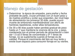 Manejo de gestación
 Determinar la época de empadre, para preñar y fecha
probable de parto, cruzar primalas con un buen peso y
de madres prolífica y evitar que engorden, dar nivel bajo
de alimentación los primeros 30 días, puede ocurrir
muerte de embriones manifestándose con alto% de
hembras repetidoras, evitar altas temperaturas.
 De 30 a 90 días puede haber perdida gradual de peso
hasta un 7 que mantiene la vivencia de la cría y peso,
mantenerla con el primer periodo de alimentación o bien
dar 1.5 a2.0 libras de concentrado y 5ª 7 libras de
forraje, no se suplementa cuando el forraje es de
calidad. Porque el crecimiento del feto es muy lento y
existe buen espacio para consumir forraje en su vientre.
 