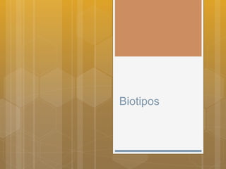 Biotipos
 