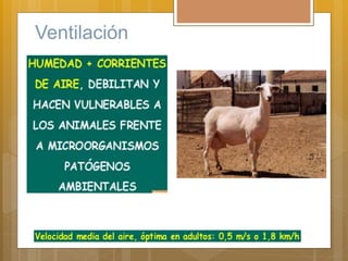 Ventilación
 