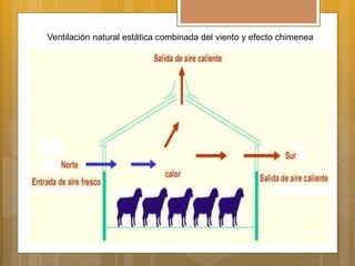 Ventilación natural estática combinada del viento y efecto chimenea
 
