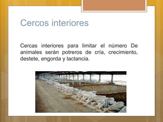 Cercos interiores
Cercas interiores para limitar el número De
animales serán potreros de cría, crecimiento,
destete, engorda y lactancia.
 