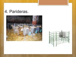 4. Parideras.
 