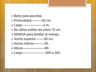  Baño para pezuñas.
 Profundidad----------20 cm.
 Largo -------------------2 m.
 Se utiliza sulfato de cobre 10 cm.
 MANGA.para facilitar el manejo.
 Ancho superior--------50 cm.
 Ancho inferior----------35.
 Altura---------------------80.
 Largo----------------------200 a 300.
 