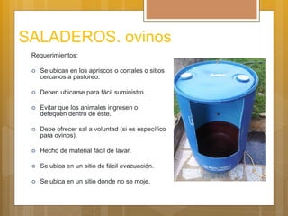 SALADEROS. ovinos
Requerimientos:
 Se ubican en los apriscos o corrales o sitios
cercanos a pastoreo.
 Deben ubicarse para fácil suministro.
 Evitar que los animales ingresen o
defequen dentro de éste.
 Debe ofrecer sal a voluntad (si es específico
para ovinos).
 Hecho de material fácil de lavar.
 Se ubica en un sitio de fácil evacuación.
 Se ubica en un sitio donde no se moje.
 