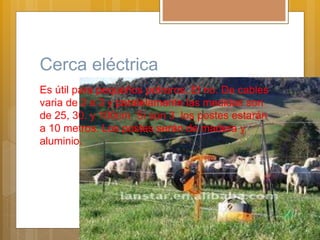 Cerca eléctrica
Es útil para pequeños potreros. El no. De cables
varia de 2 a 3 y paralelamente las medidas son
de 25, 30. y 100cm. Si son 3 los postes estarán
a 10 metros. Los postes serán de madera y
aluminio.
 