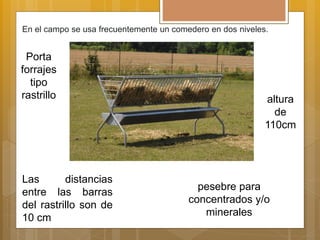 En el campo se usa frecuentemente un comedero en dos niveles.
Porta
forrajes
tipo
rastrillo
pesebre para
concentrados y/o
minerales
altura
de
110cm
Las distancias
entre las barras
del rastrillo son de
10 cm
 