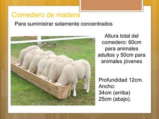 Para suministrar solamente concentrados
Comedero de madera
Profundidad 12cm.
Ancho:
34cm (arriba)
25cm (abajo).
Altura total del
comedero: 60cm
para animales
adultos y 50cm para
animales jóvenes
 
