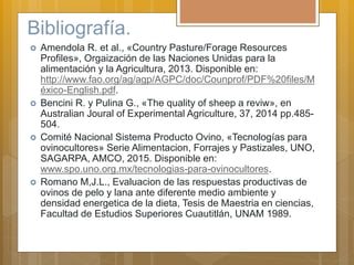 Bibliografía.
 Amendola R. et al., «Country Pasture/Forage Resources
Profiles», Orgaización de las Naciones Unidas para la
alimentación y la Agricultura, 2013. Disponible en:
http://www.fao.org/ag/agp/AGPC/doc/Counprof/PDF%20files/M
éxico-English.pdf.
 Bencini R. y Pulina G., «The quality of sheep a reviw», en
Australian Joural of Experimental Agriculture, 37, 2014 pp.485-
504.
 Comité Nacional Sistema Producto Ovino, «Tecnologías para
ovinocultores» Serie Alimentacion, Forrajes y Pastizales, UNO,
SAGARPA, AMCO, 2015. Disponible en:
www.spo.uno.org.mx/tecnologias-para-ovinocultores.
 Romano M,J.L., Evaluacion de las respuestas productivas de
ovinos de pelo y lana ante diferente medio ambiente y
densidad energetica de la dieta, Tesis de Maestria en ciencias,
Facultad de Estudios Superiores Cuautitlán, UNAM 1989.
 