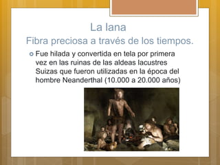 La lana
Fibra preciosa a través de los tiempos.
 Fue hilada y convertida en tela por primera
vez en las ruinas de las aldeas lacustres
Suizas que fueron utilizadas en la época del
hombre Neanderthal (10.000 a 20.000 años)
 