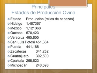 Principales
Estados de Producción Ovina
 Estado Producción (miles de cabezas)
 Hidalgo 1,487367
 México 1,121368
 Oaxaca 570,423
 Veracruz 465,855
 San Luis Potosí 451,384
 Puebla 441,188
 Zacatecas 341,252
 Guanajuato 302,500
 Coahuila 268,623
 Michoacán 248,598
 